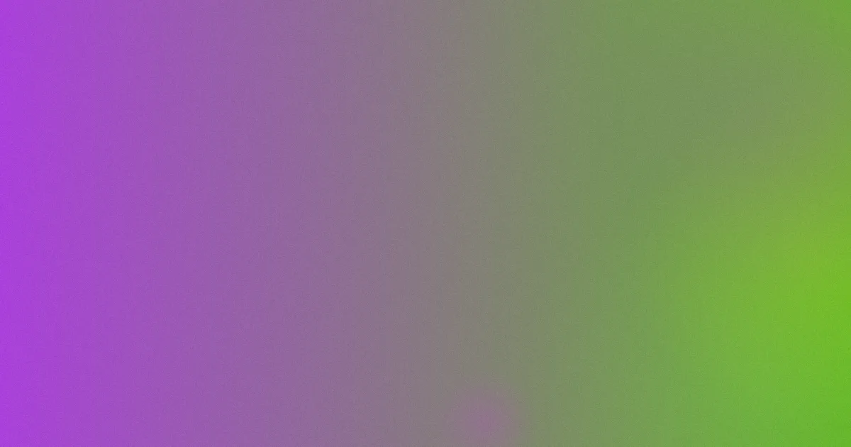 张暖雅攻略：信息核验流程